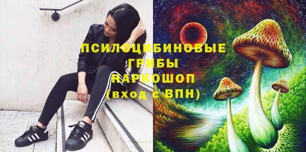 прущая мука Надым
