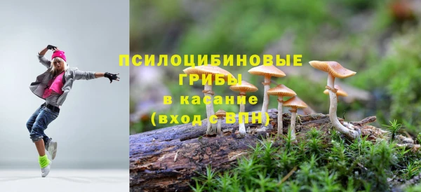 МДПВ Наволоки