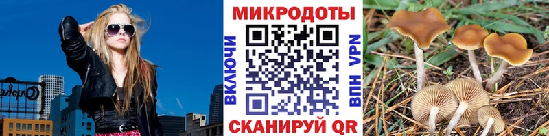 mega маркетплейс  Чердынь  Псилоцибиновые грибы прущие грибы 